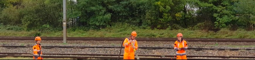 Fin du glyphosate : la SNCF teste une nouvelle technique de végétalisation sur les rails